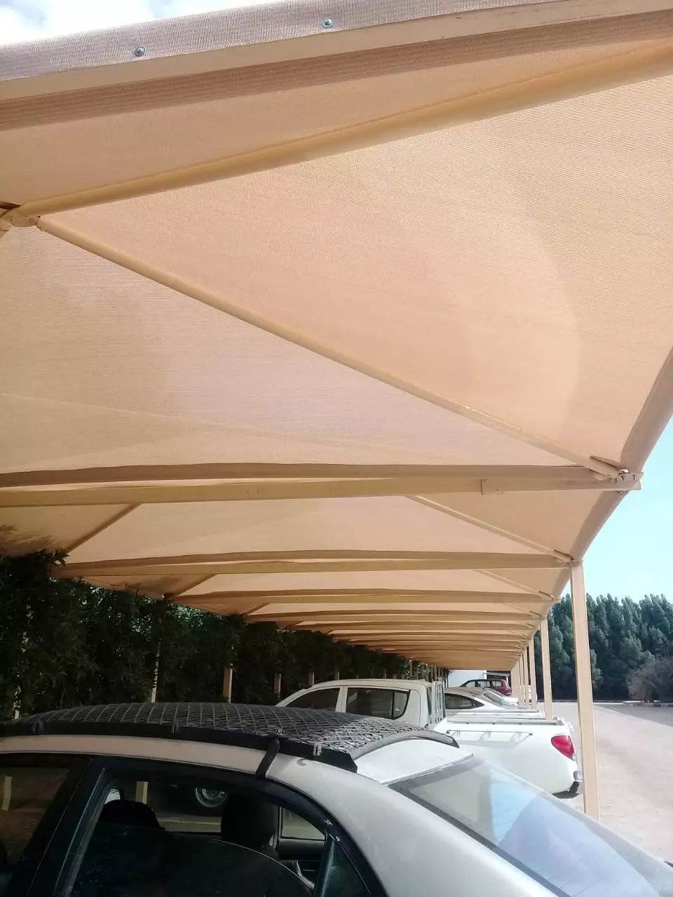 سندويش بنل ومضلات وسواتر جده | سندويش بنل ومضلات وسواتر جده