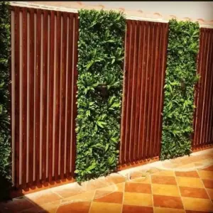 0620 سندويش بنل ومضلات وسواتر جده | تنسيق حدائق