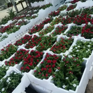 0659 سندويش بنل ومضلات وسواتر جده | تنسيق حدائق