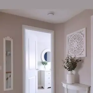 0713 سندويش بنل ومضلات وسواتر جده | دهانات