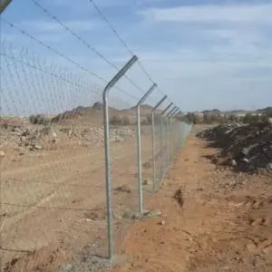 0909 سندويش بنل ومضلات وسواتر جده | شبوك