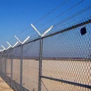 0925 سندويش بنل ومضلات وسواتر جده | شبوك