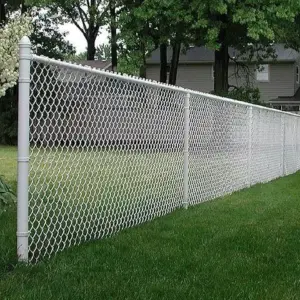 0930 سندويش بنل ومضلات وسواتر جده | شبوك