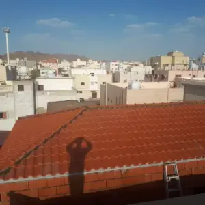 0963 سندويش بنل ومضلات وسواتر جده | قرميد