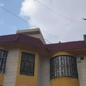 0966 سندويش بنل ومضلات وسواتر جده | قرميد