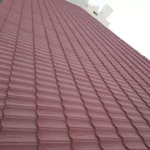 0974 سندويش بنل ومضلات وسواتر جده | قرميد