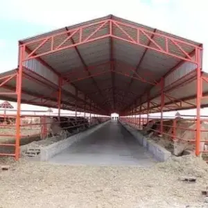 1140 سندويش بنل ومضلات وسواتر جده | هناجر